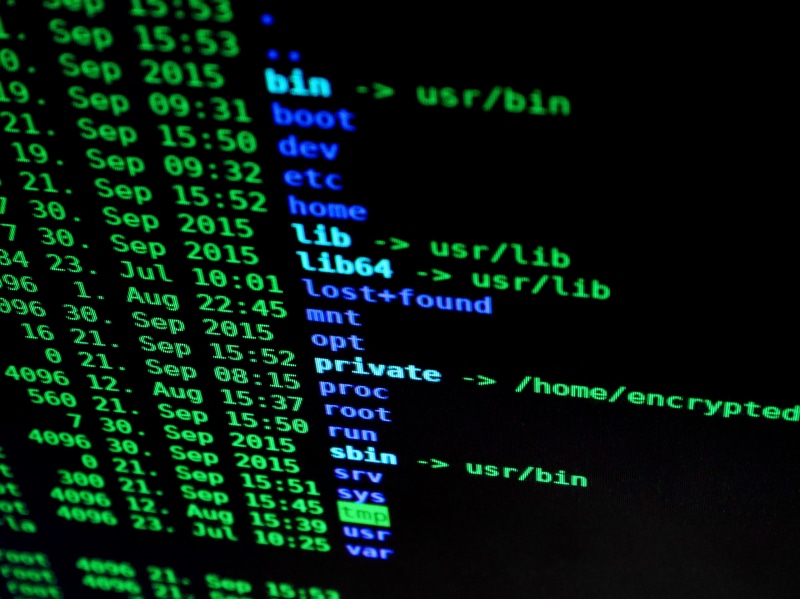 selective focus, number, 2K, internet, crime, hack, cyber, western script, data, business, source, screen, graphical user interface, computer crime, information medium