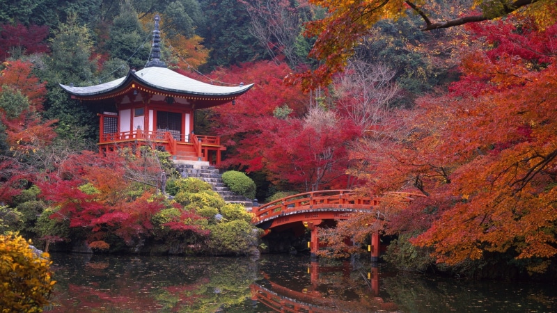 1080P, Autumn, Kyoto, Landscape, Japan, Daigo