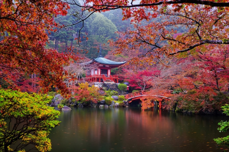 lake, 1080P, nature, footbridge, tranquility, Temples, change, reflection, day, plant, Japanese Garden, outdoors, tree, Fall, scenics - nature, maple leaf