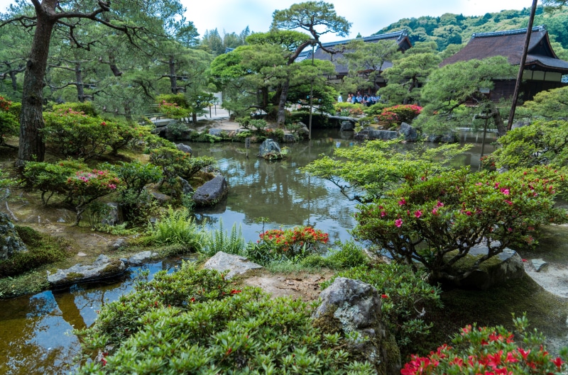 nature, flowing water, 8K, pond, flower, ginkakuji, ginkaku-ji gardens, water, house, flowers, lake, plant, growth, body, no people, japanese, tranquility