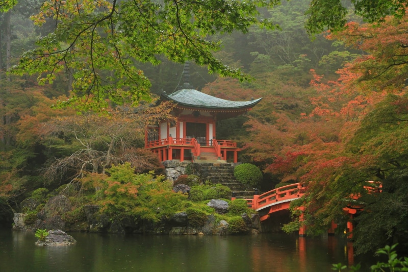 1080P, Temples, Temple, Kyoto, Fall, Daigo-ji, Shrine, Pagoda