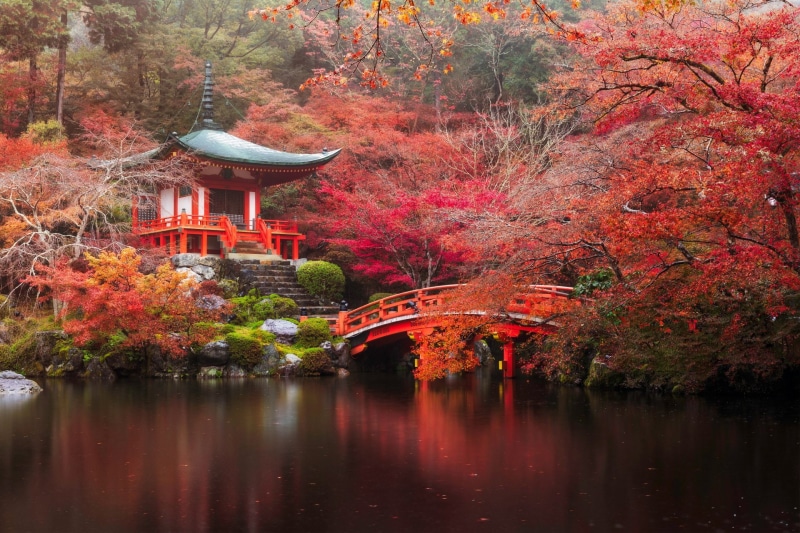 Pagoda, Tree, Fall, Nature, Daigo-ji, Temples, 1080P, Kyoto, Bridge, Park, Pond, Japan