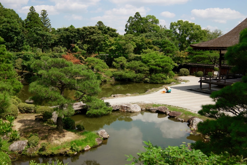 tranquility, tree, outdoors, temple, built structure, beauty in nature, reflection, architecture, growth, scenics - nature, green color, nature, day, garden