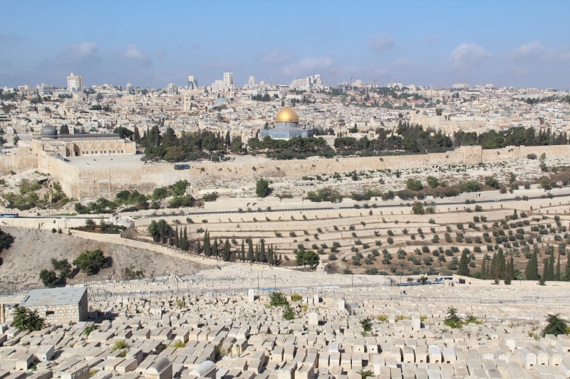 israel, archaeology, cityscape, day, old, plant, no people, religion, building, jewish cemetery, architecture, tree, building exterior, the temple mount