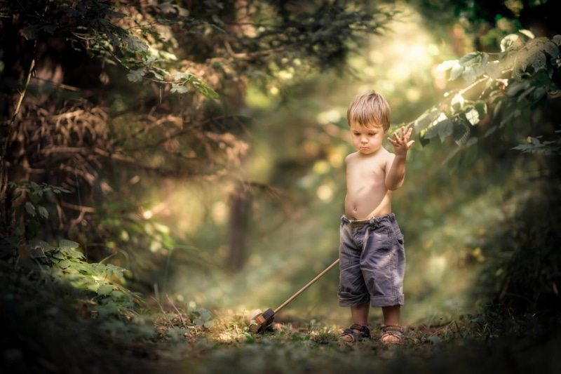 1080P, boy, plant, boys, one person, childhood, offspring, little boy, black, holding, nature, full length, males, innocence, outdoors, day, sun rays