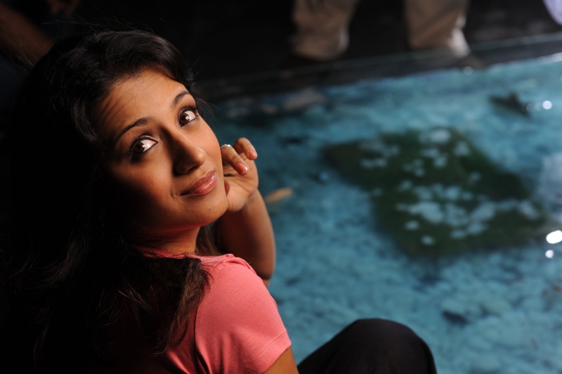 actresses, hd--509592, india, people, tamil, 4K, trisha, actress