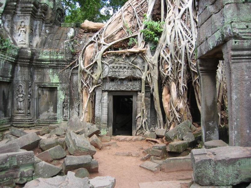 art, wat, Cambodia, root, angkor, Angkor Wat, Religious, ruins, architecture, 480P, stone, hd, roots