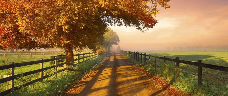 dirt road, tranquility, sunlight, barrier, field, tree, Australia, no people, fall, tranquil scene, land, outdoors, nature, 720P, fence, beauty in nature