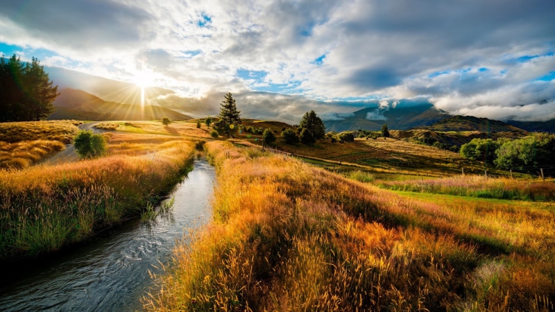 nature, valley, tranquil Scene, non-Urban Scene, white, bright, outdoors, rural Scene, meadow, tree, plant, dusk, creek, autumn, creeks, scenics - nature