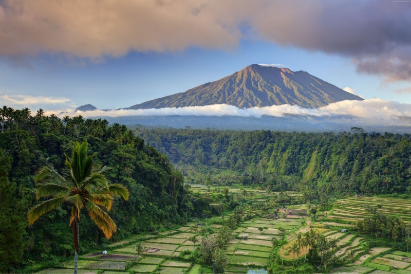 palms, 5K, clouds, mountain, trees, 5K, Bali, field