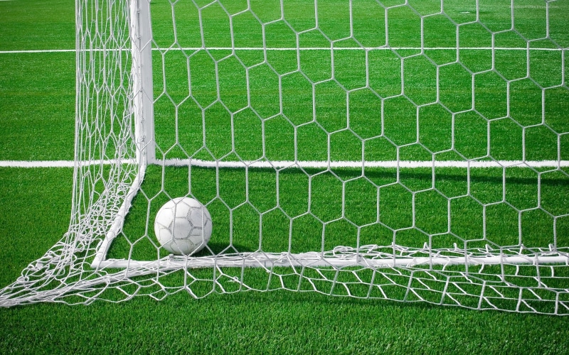 close-up, mesh, playing, field, white, sports Team, green Color, white color, grass, pitcher, net - Sports Equipment, soccer Ball, goal, day, competition