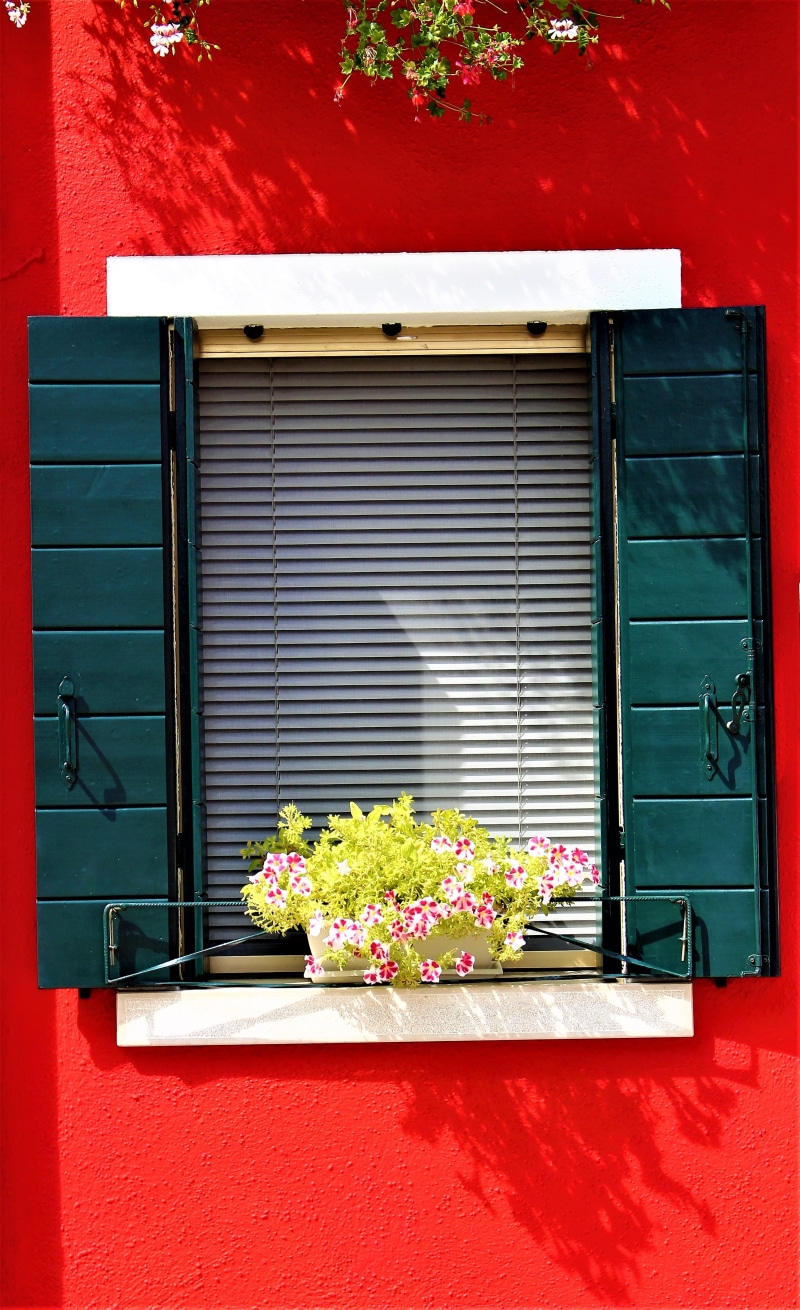 flowering plant, venice, island, shutter, alley, flower pot, older, old house, blinds, window, entrance, colorful, color, italy, facade, society, tourist destination