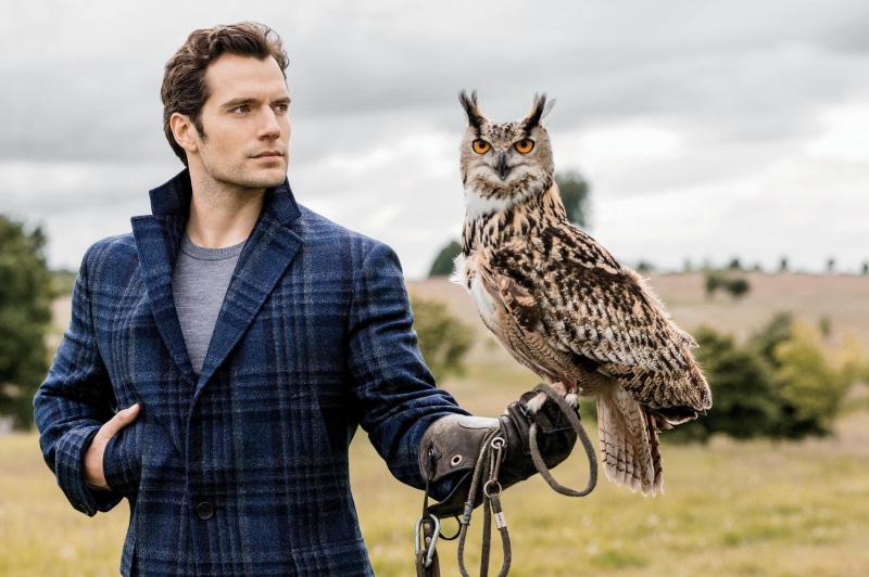 adult, 2K, day, animal wildlife, mid adult, nature, falcon - bird, male celebrities, bird, henry cavill, standing, bird of prey, vertebrate, front view