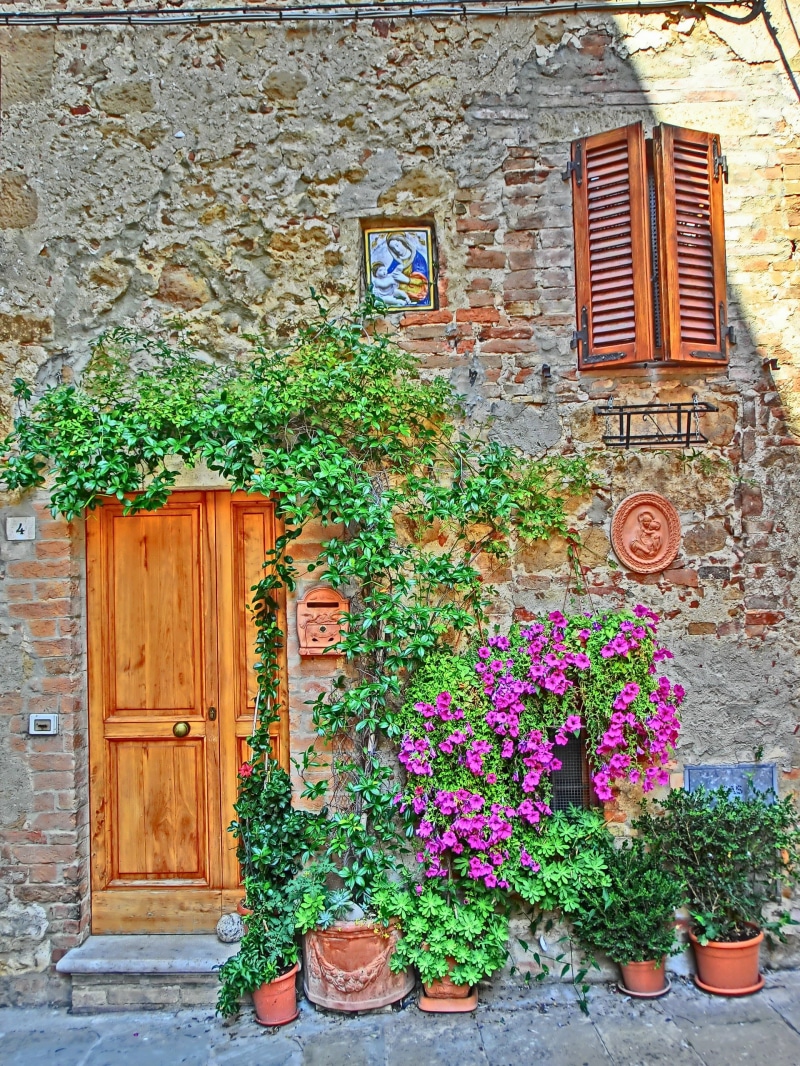 million, wood - material, house facade, idyll, vine, brown, green, built structure, potted plant, south, wall - Building Feature, old, building Exterior
