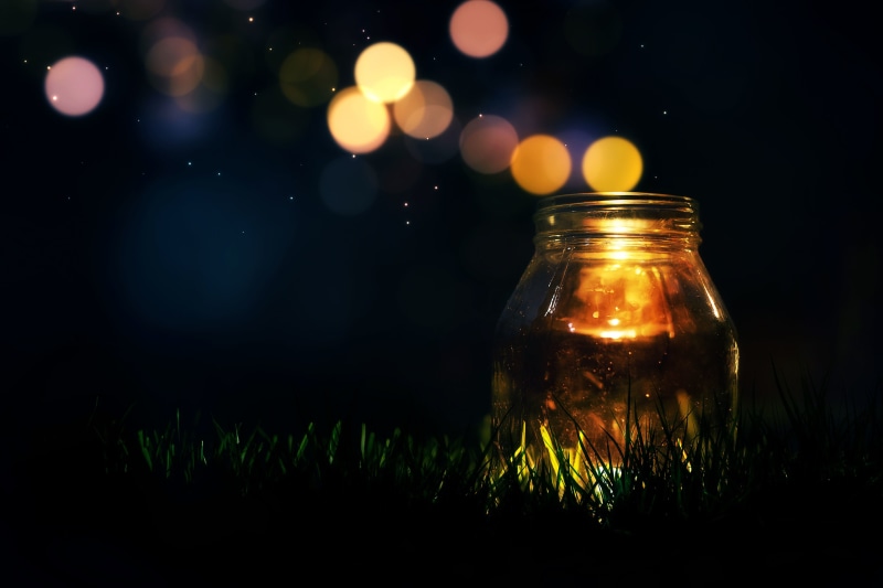 grass, sequins, tree, plant, container, backgrounds, light, christmas, holiday, jar, sky, HD, mood, season, dark, greens, lens flare