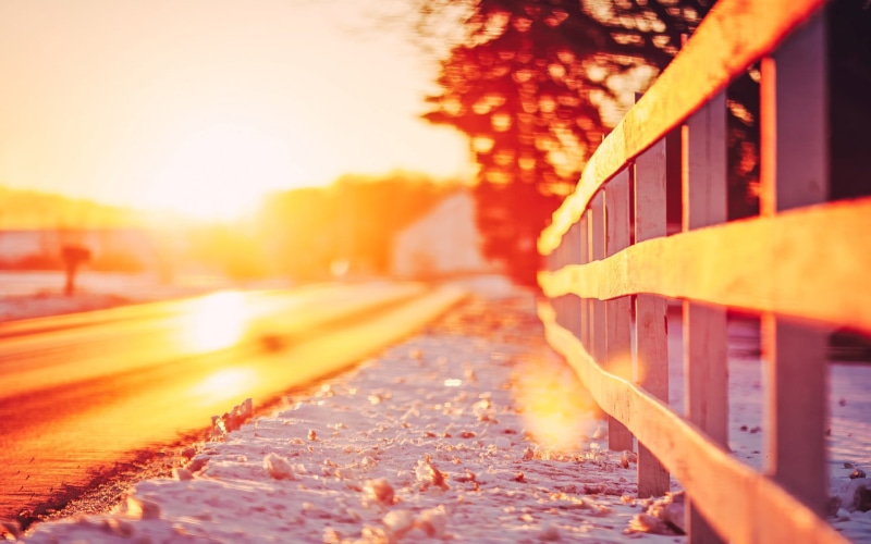 fullscreen, tree, widescreen, leaves, plant, outdoors, transportation, day, blur, bokeh, macro, nature, sunlight, fence, leaf, wooden, selective focus