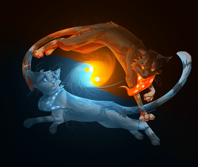 yang, yin, red, fantasy, animal, invertebrate, 1080P, motion, art, illustration, sea life, orange color, animals, Yin-Yang, animal wildlife, light - Natural Phenomenon