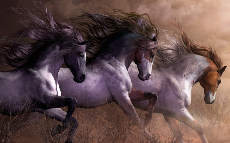 painting, 1080P, Three, white, brown, Grass, Running, Horses