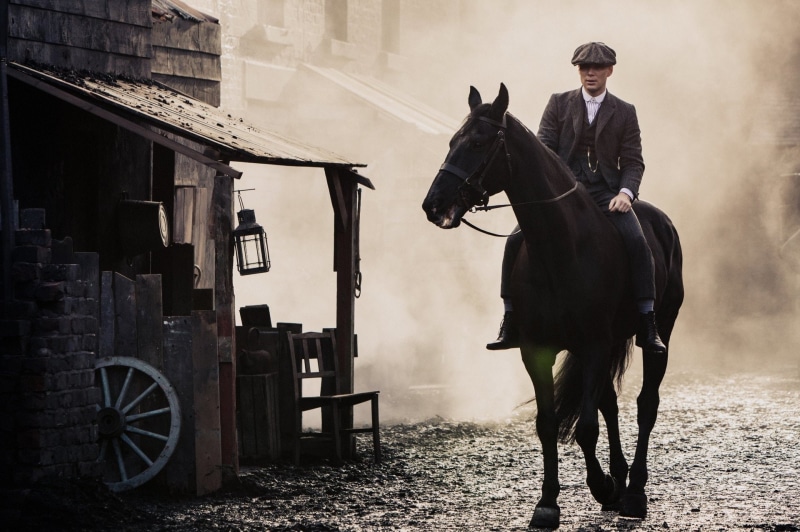transportation, standing, day, riding, Peaky Blinders, aggression, 1080P, full length, one person, mammal, one animal, domestic, livestock, adult, government
