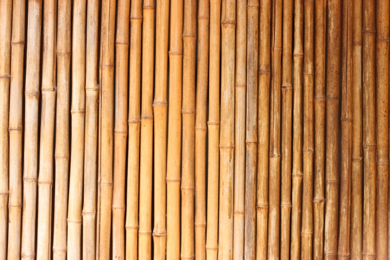 bamboos, nature, asia, bamboo - Material, day, japanese Culture, textured, Bamboo, Texture, wood, bamboo - Plant, wood - Material, stick - Plant Part, repetition