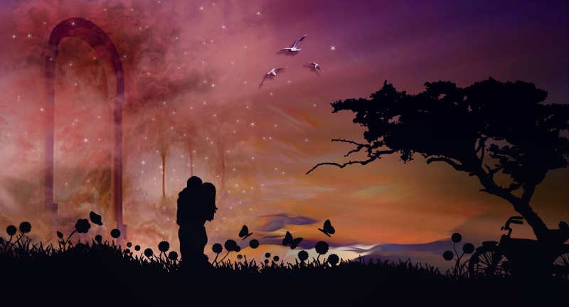 orange Color, standing, flock of birds, vertebrate, plant, illustration, sun, black Color, beauty In Nature, outdoors, summer, hugs, night, silhouettes