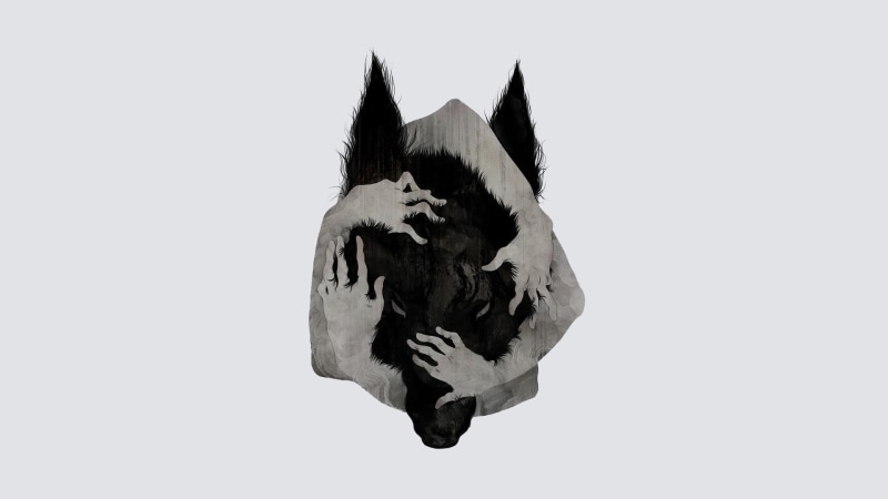 wolf, herbivorous, single object, indoors, animal, black color, abstract, studio shot, white background, nature, one animal, pets, animal themes, domestic animals