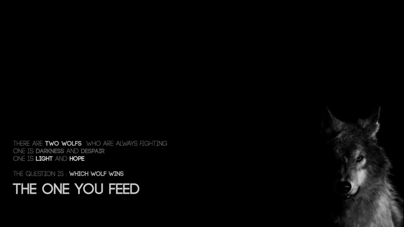 1080P, black background, sentence, wolf, black, background
