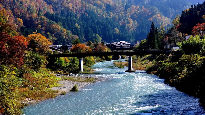 4K, shirakawa, Shirakawago, Japan, Bridge, River, Trees, go, Village, Mountain