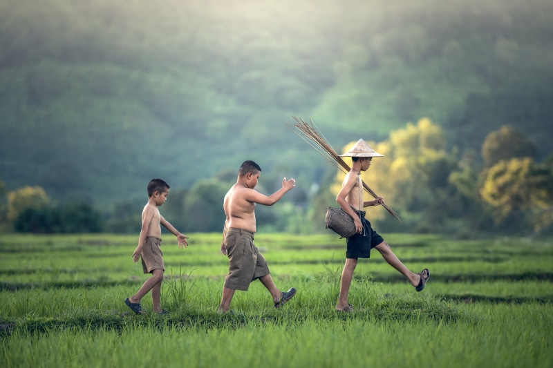 outside of the house, spring, holidays, nature, fishing, males, summer, cambodia, little, background, field, laos, indonesian, men, asia, running, 5K