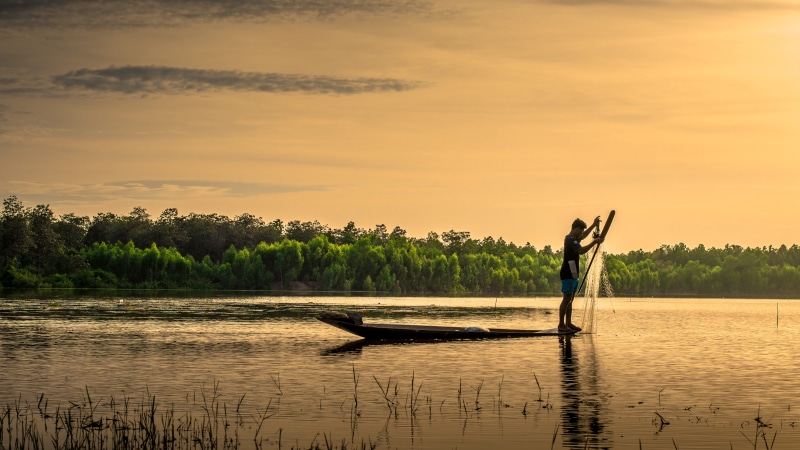 fish, rice, pa, scenics, nautical vessel, laos, asia, pretty, farmer, tranquility, occupation, nature, net, one person, farm, boat, man, beauty in nature