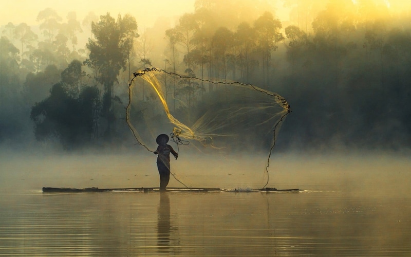 silhouette, forest, one person, scenics - nature, occupation, 720P, fisherman, net, beauty in nature, tranquility, lake, boat, nature, fog, land, landscape