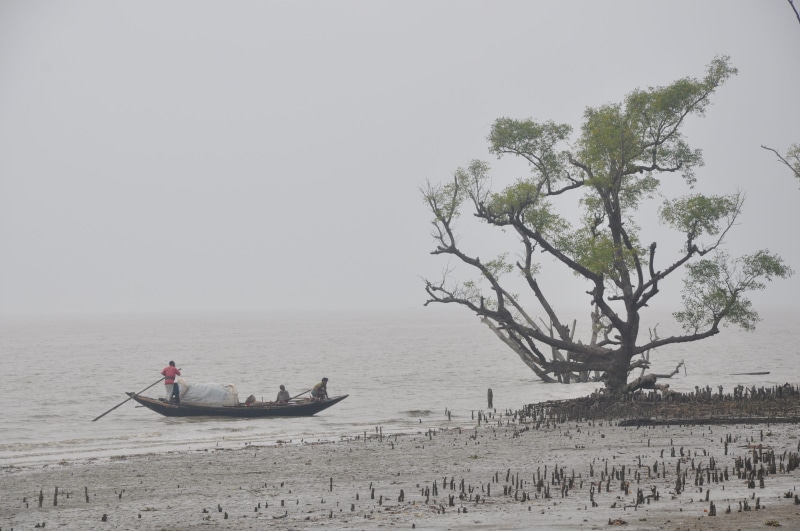 beauty in nature, water, tranquil scene, Nature, Sundarban, plant, bangladesh, cloudy, Boat, fisherman, Sea, Tourism, leisure activity, 4K, tranquility