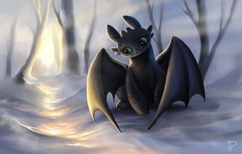 the night fury, wildlife, indoors, blue, animal, bird, cute, toothless, sunlight, nature, vertebrate, look, animal representation, backgrounds