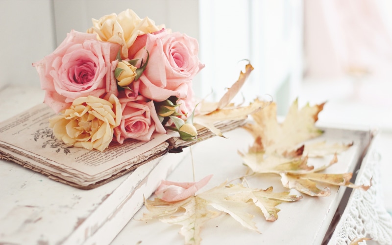 Pink, Leaves, 2K, Autumn, Flowers, Rose