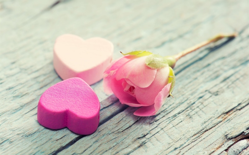 2K, Petals, Pink, Rose, Flower, Hearts, Love