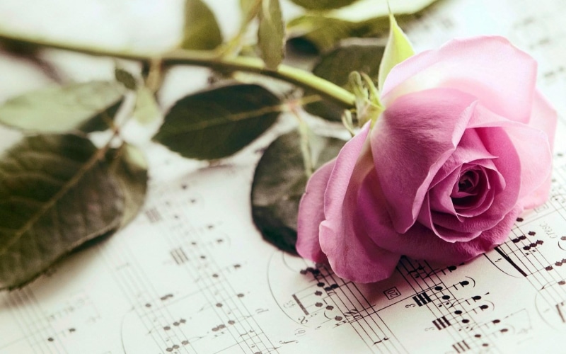 music, flower, notes, 720P, rose, pink