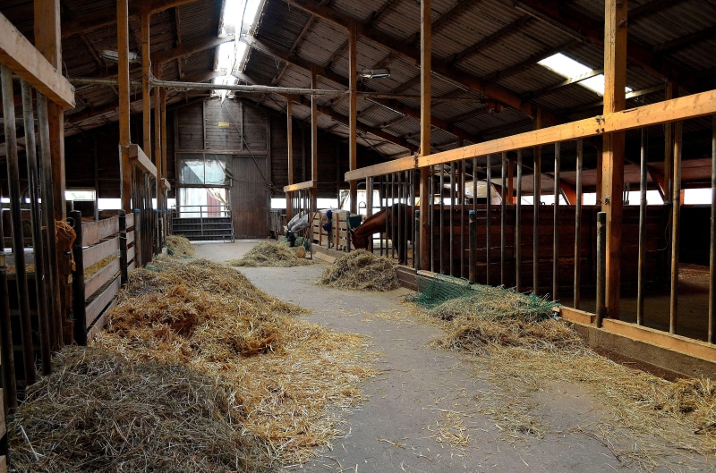 building, domestic room, riding, architecture, horse stable, farm, no people, horse attitude, agriculture, nature, weathered, industry, plant, factory