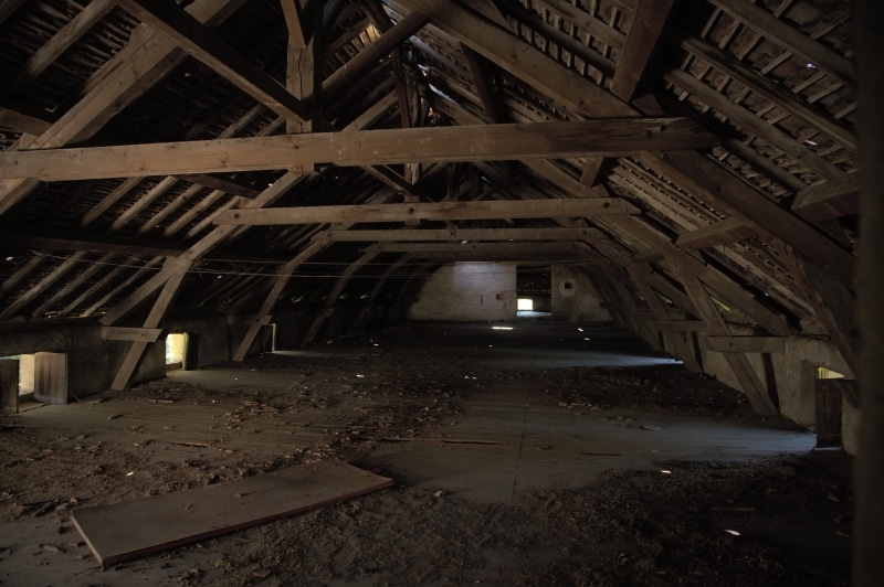 bad condition, dusty, Attic, decline, run-down, weathered, indoors, architecture, dirt, leave, building, day, brown, Empty, deterioration, dirty, factory
