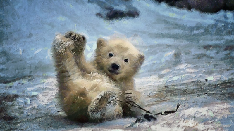 portrait, animal, domestic animals, snow, domestic, polar bears, one animal, painting, 1080P, dog, nature, digital art, looking at camera, vertebrate