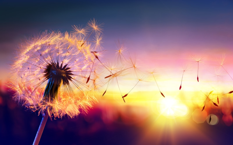 red, sun, white, abstract, springtime, bright, vulnerability, softness, firework - Man Made Object, sky, nature, beauty In Nature, my planet