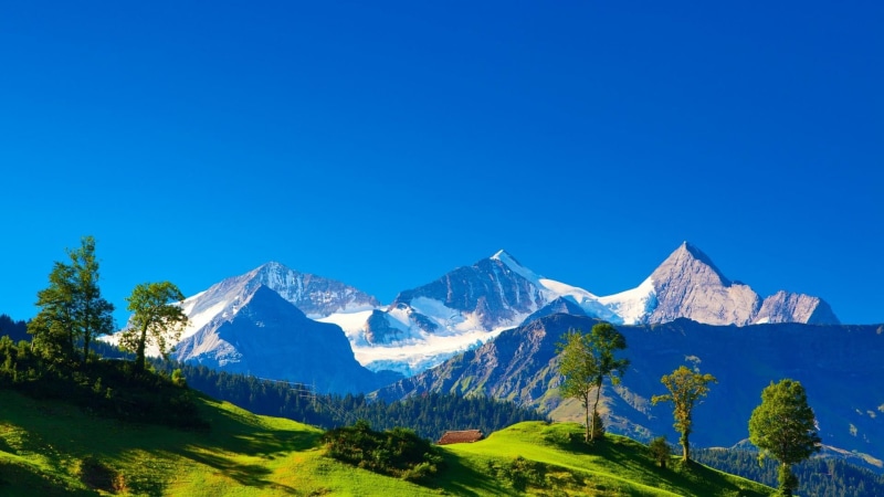 cold temperature, coniferous tree, alps, winter, tranquil scene, tranquility, switzerland, pine tree, idyllic, snowcapped mountain, copy space, landscape