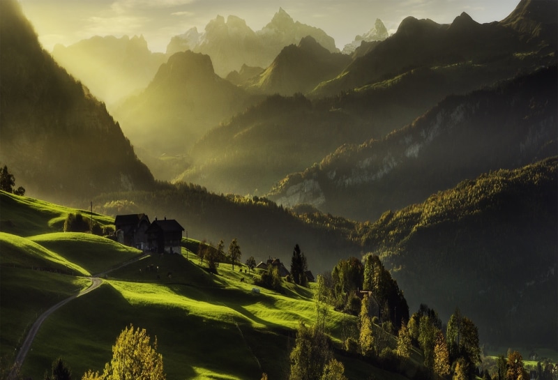 mountain range, landscape, nature, mist, fog, mountain, tree, idyllic, Switzerland, tranquility, valley, growth, scenics - nature, road, green color, trees
