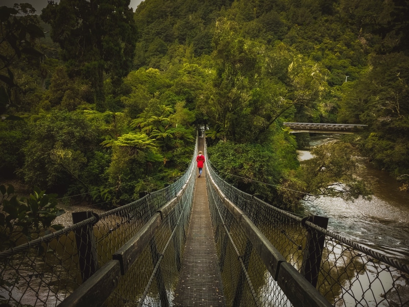 outdoors, rope bridge, hiking, contrast, mountain, rivendell, person, day, the way forward, adventure, forest, tranquility, 2K, swing bridge, plant, built structure