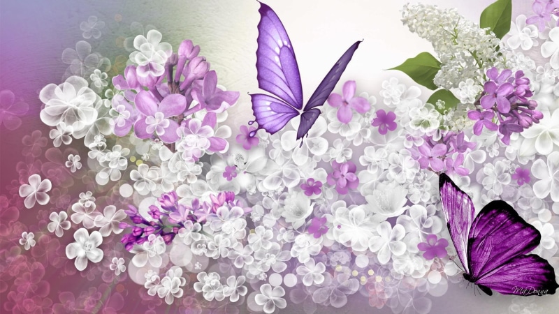 lavender, scatter, lilacs, flowers, white, white flowers, 1080P, butterflies, lilac, 3d and abstract, spring, predicition, summer, purple