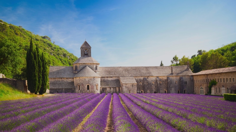 building, landscape, senanque abbey, flower field, building exterior, sky, growth, flowering plant, field, nature, 4K, historical, beauty in nature, gordes