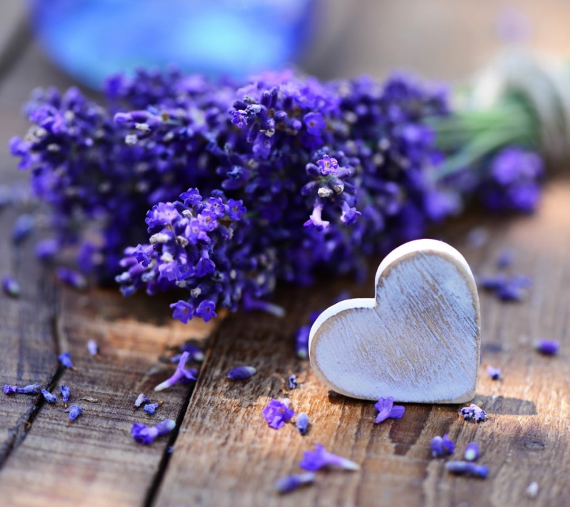 lavender, nature, indoors, wood grain, plant, beauty in nature, food, selective focus, wooden, purple, flowering plant, white, heart, still life, table