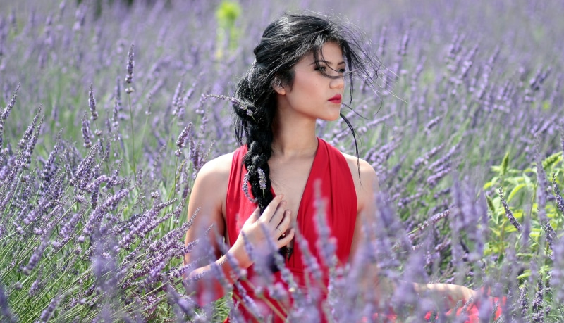 plant, Beautiful Girl, caucasian Ethnicity, only women, purple, Lavender, young Adult, Flowers, beauty, females, female, flowering plant, public domain