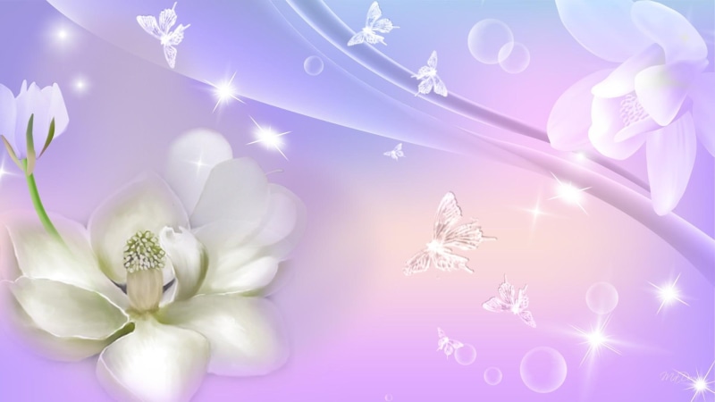 butterflies, stars, water lily, bubbles, lavender, lily, firefox persona, lilies, abstract, water, 1080P, 3d and ab, purple