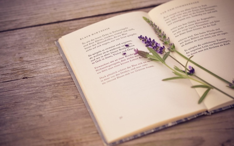 lavender, flower, book, 1080P
