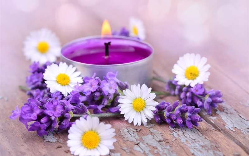 White, Candles, 2K, Lavender, Flowers, Daisy